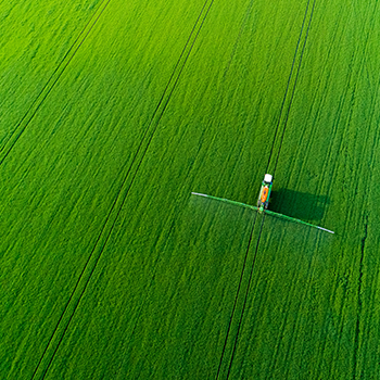 兰科博弈·RankBet(中国)有限公司官网