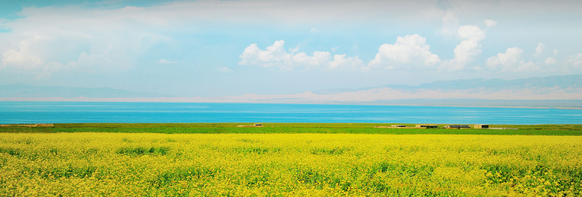 兰科博弈·RankBet(中国)有限公司官网