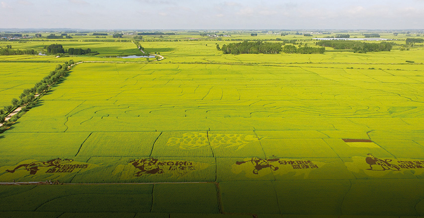 兰科博弈·RankBet(中国)有限公司官网