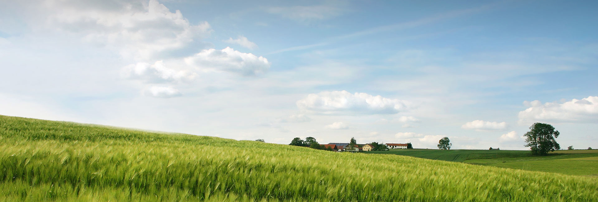 兰科博弈·RankBet(中国)有限公司官网