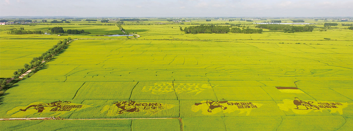 兰科博弈·RankBet(中国)有限公司官网