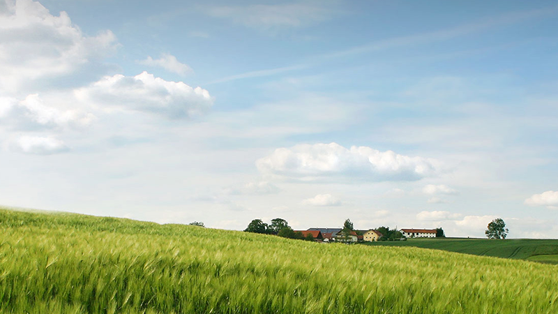 兰科博弈·RankBet(中国)有限公司官网