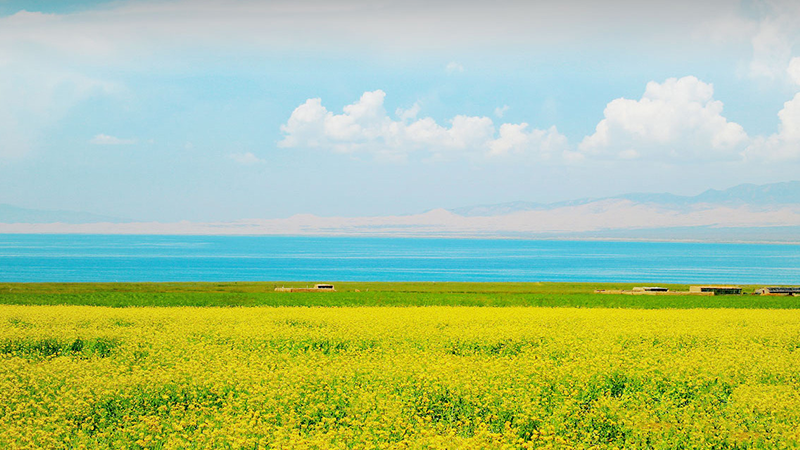 兰科博弈·RankBet(中国)有限公司官网