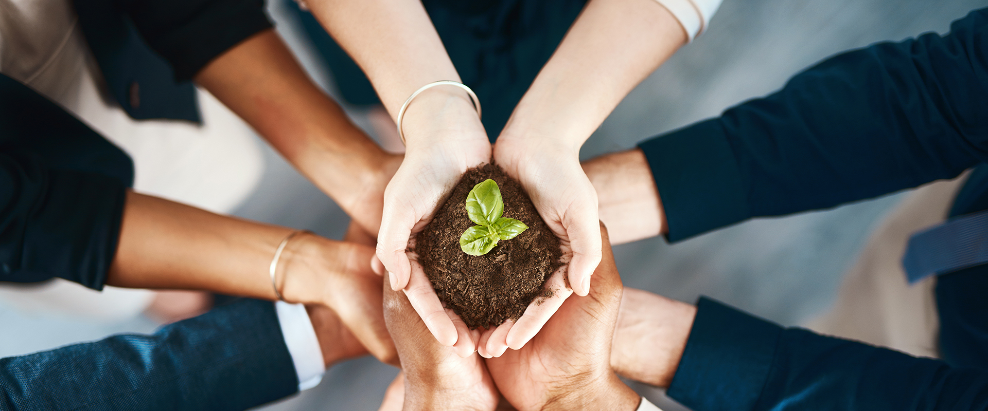 兰科博弈·RankBet(中国)有限公司官网