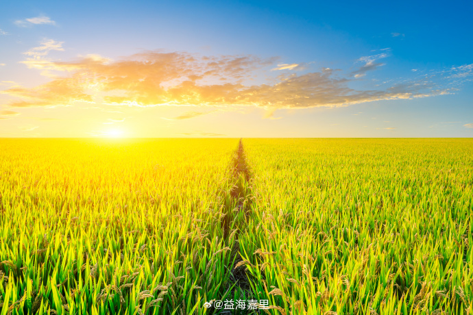 兰科博弈·RankBet(中国)有限公司官网