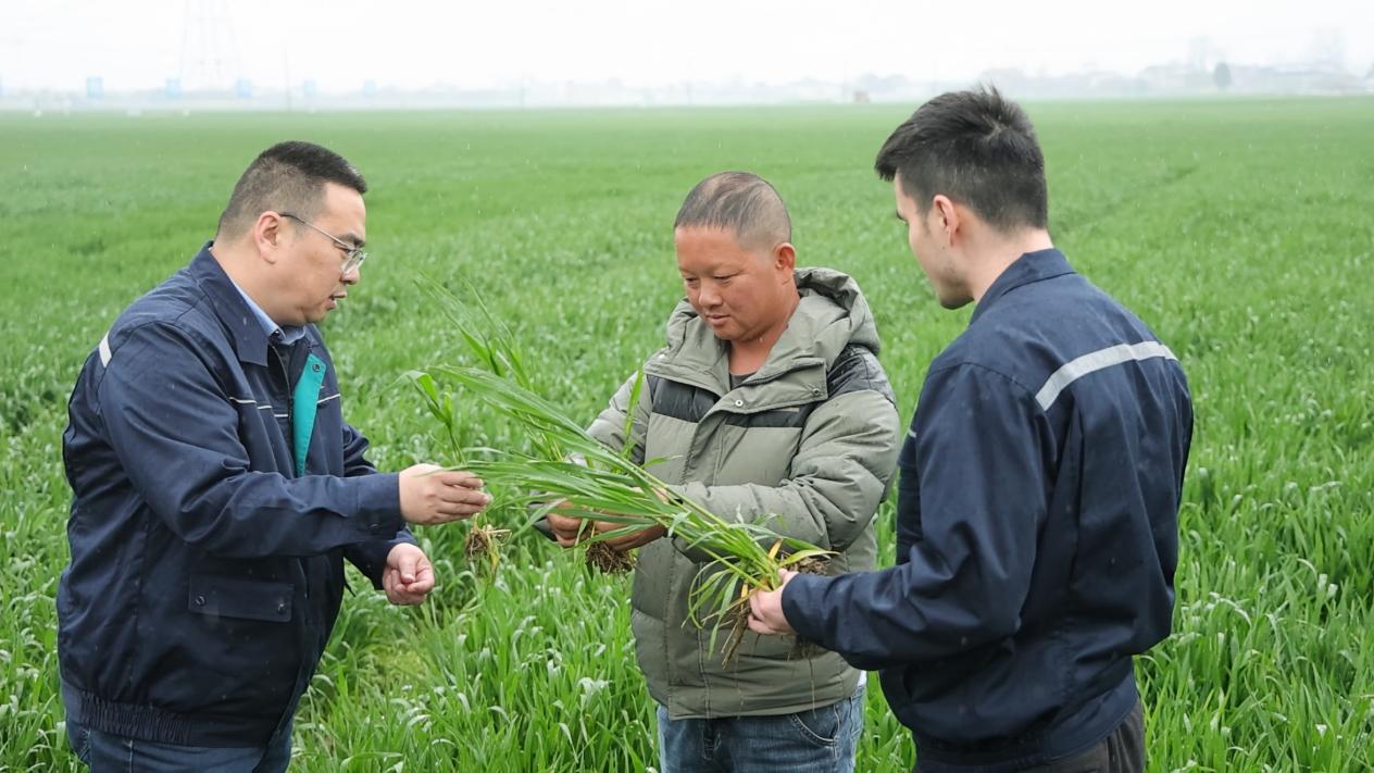 兰科博弈·RankBet(中国)有限公司官网